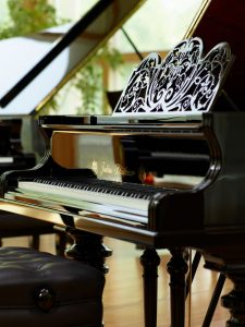 Blüthner Piano - Variationen